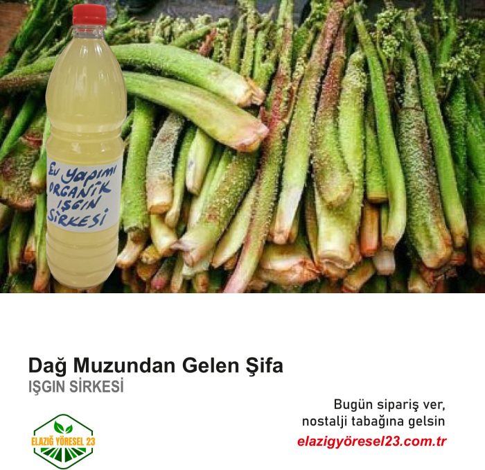 IŞGIN SİRKESİ Doğanın şifa kaynağı Işgın bitkisinden elde edilen mucizevi sirke! ✨ Elazığ yöresine özgü bu sağlıklı doğal enerji kaynağıyla bağışıklığınızı destekleyin, güne zinde başlayın. Şifa dolu bir yaşam için Işgın sirkesi sofranızda!