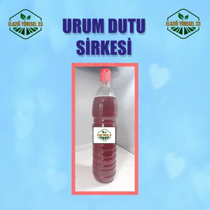 EV YAPIMI DOĞAL URUM DUTU SİRKESİ 1 Litre